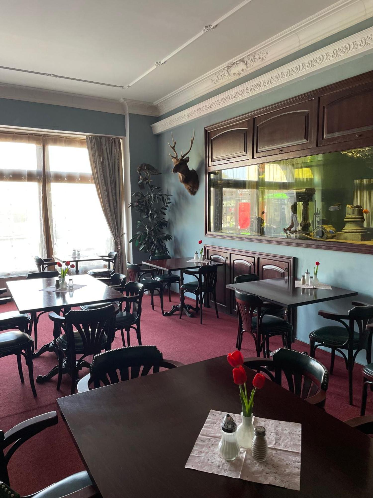 Hotel Cerny Orel Zatec Экстерьер фото