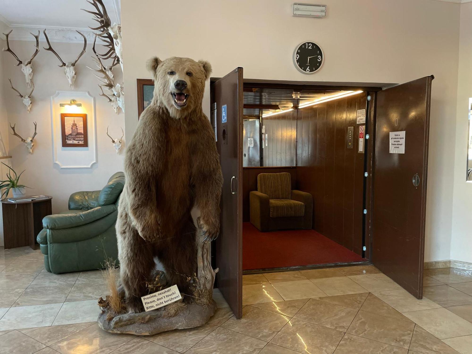 Hotel Cerny Orel Zatec Экстерьер фото